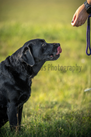 Karolyi-Reka-06381