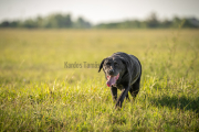 Karolyi-Reka-06496