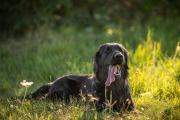 Szep-Kisne-Kas-Eniko-06717